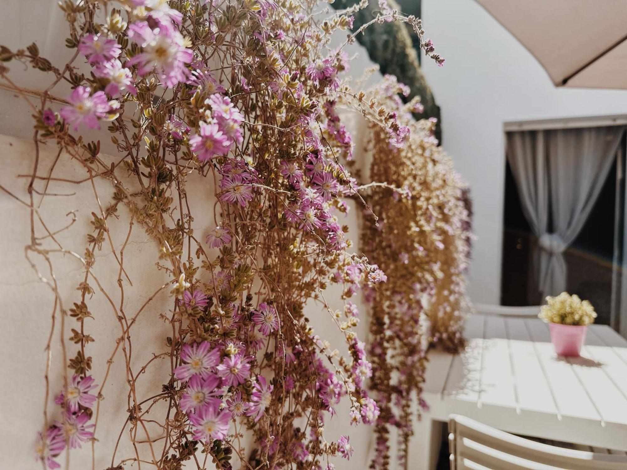 Maria House With Private Garden אולביה מראה חיצוני תמונה