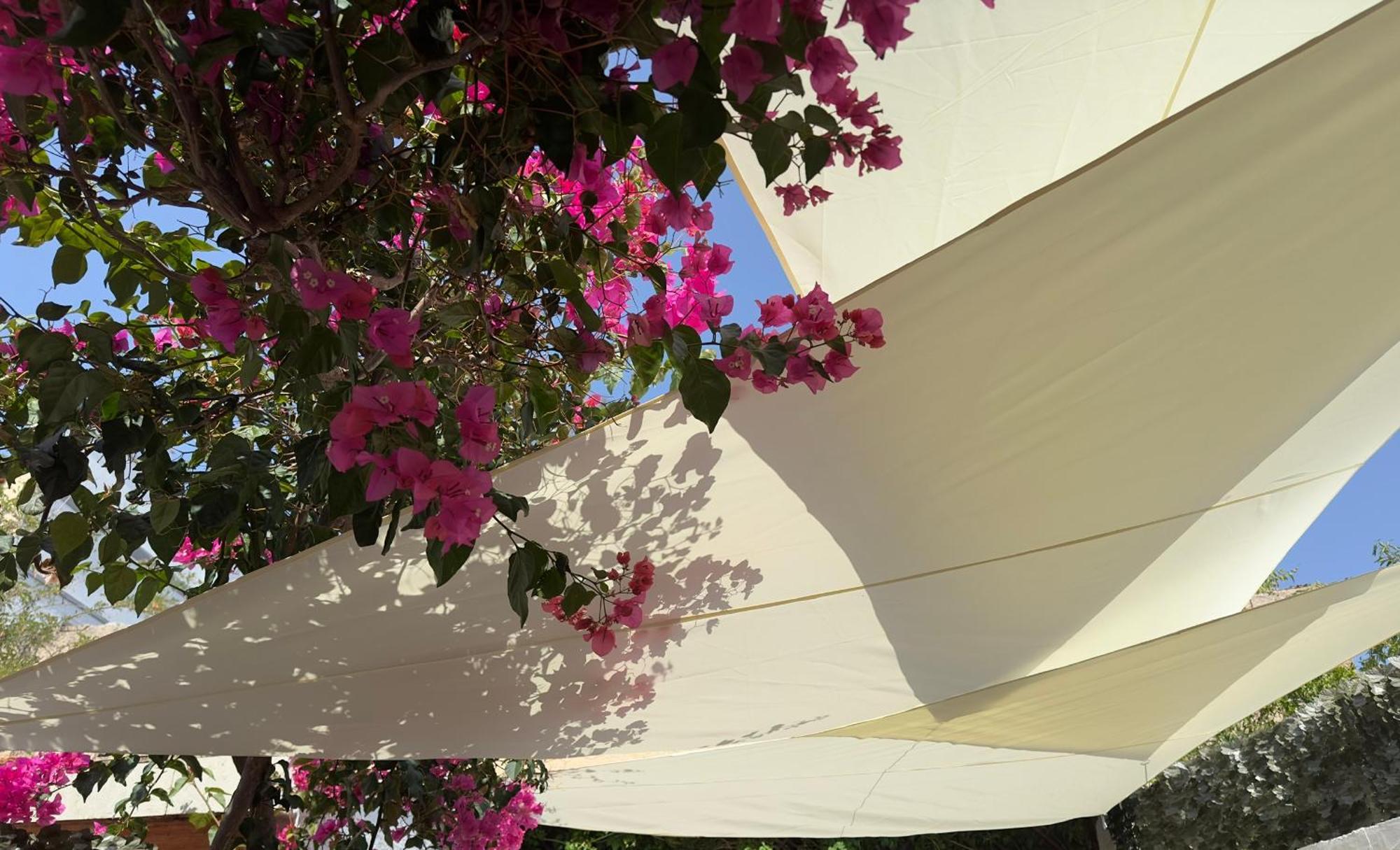 Maria House With Private Garden אולביה מראה חיצוני תמונה
