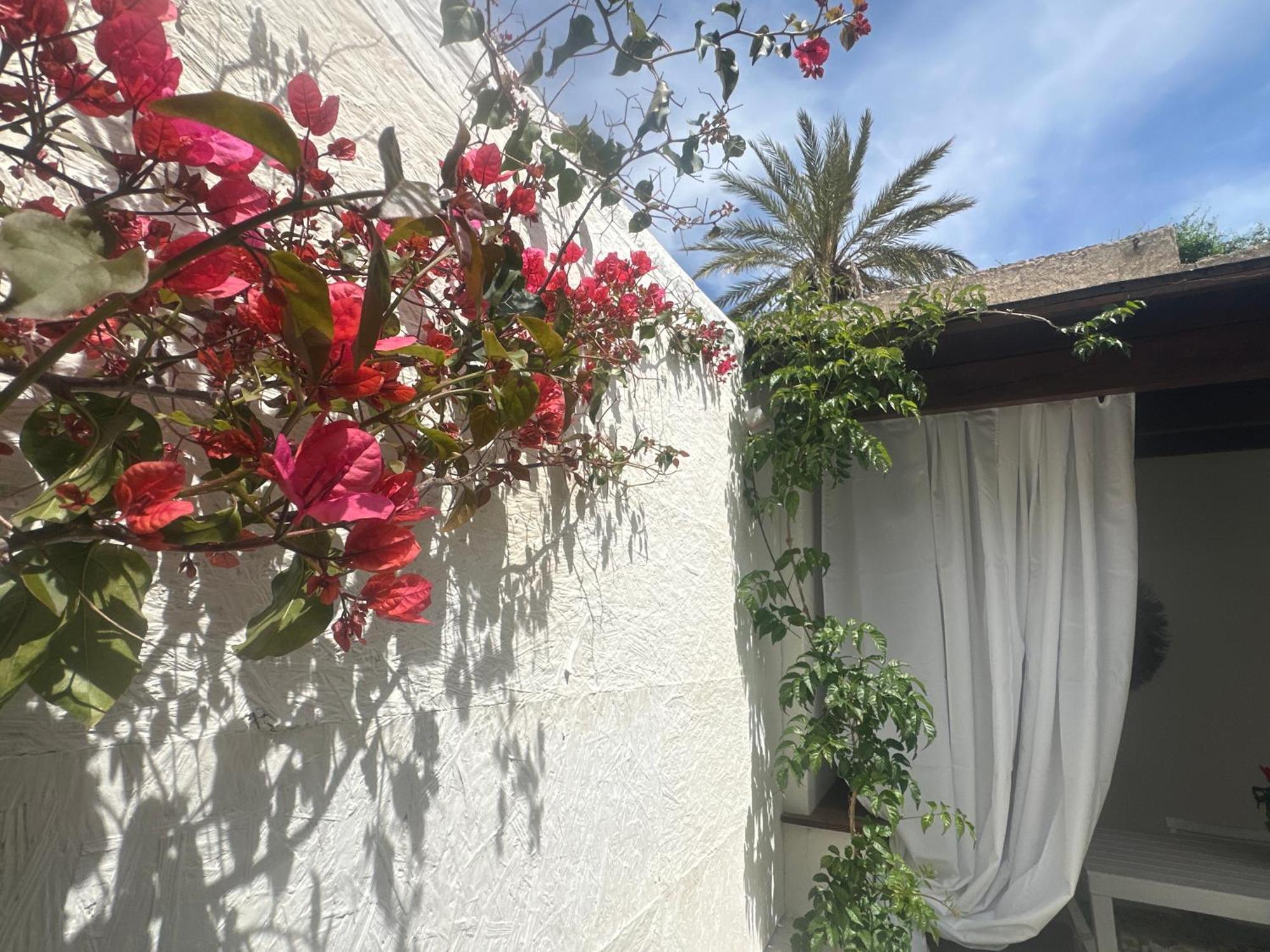 Maria House With Private Garden אולביה מראה חיצוני תמונה